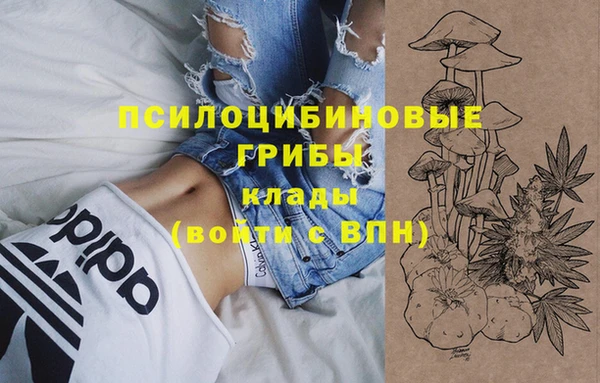 амф Липки