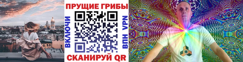 Галлюциногенные грибы Psilocybe  OMG ONION  Зеленогорск 